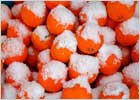 Зимняя трапеза: вкусно и питательно