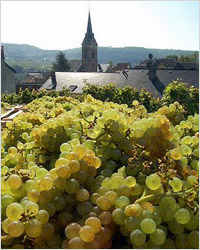 Фестиваль молодого вина в Долине Мозель (Люксембург) 