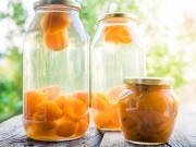 Рецепты компотов из абрикосов на зиму