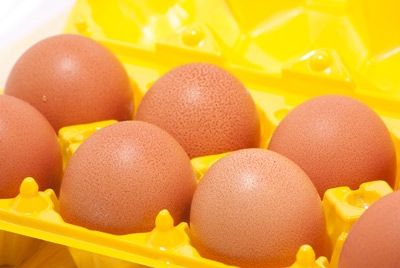 Новые вые доказательства в пользу куриных яиц