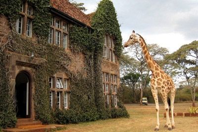 Африканский отель предлагает позавтракать с жирафами