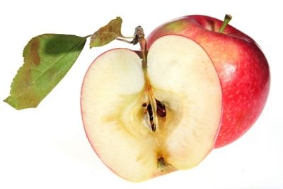 В Канаде вырастили яблоки, которые не становятся коричневыми на срезе
