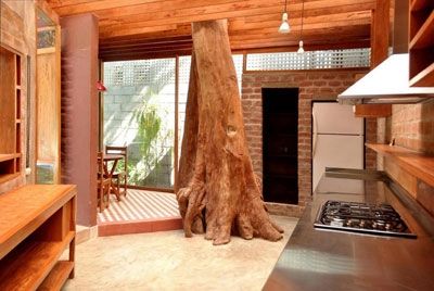 Кухня, построенная вокруг дерева