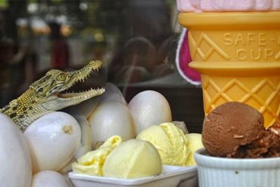Мороженое из крокодильих яиц
