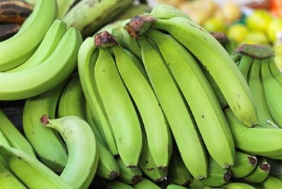 Ученые советуют есть незрелые бананы