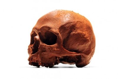 Человеческий череп из шоколада