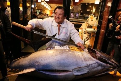 Стоимость голубого тунца снижается