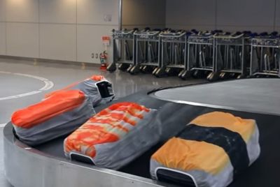 Багаж в виде суши