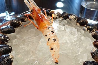 В ресторане Токио клиентам предлагают блюдо из живых креветок с муравьями
