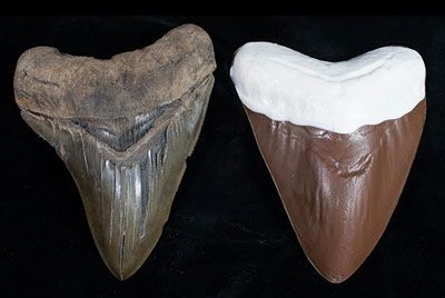 Шоколадные акульи зубы
