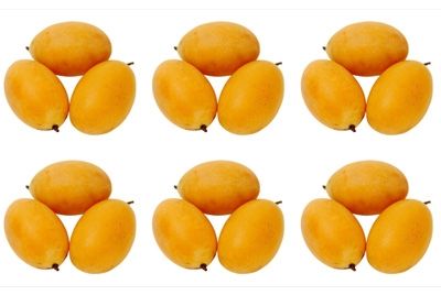 Выведен гибрид сливы и манго