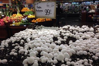 Супермаркет предлагает самостоятельно собирать грибы