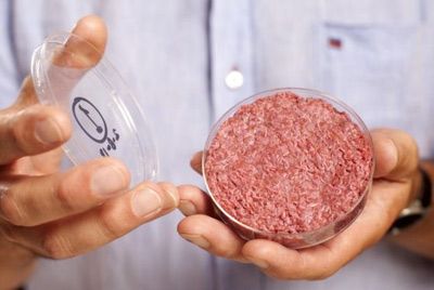 Мясо, выращенное в пробирке, будет доступно всем к 2020 году