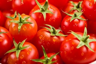 Выведены помидоры с повышенным содержанием антиоксидантов