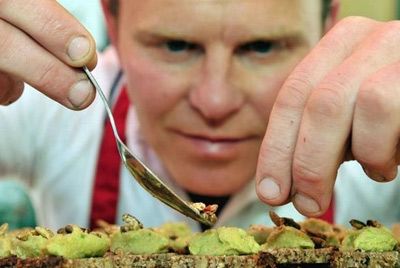 В Великобритании открылся ресторан, подающий блюда из насекомых