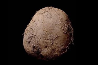 Фотография ирландского картофеля была продана за 1 миллион $