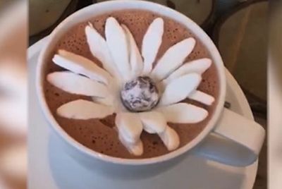Цветок из зефира распускается в чашке шоколада