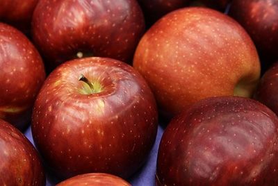 Вашингтонские фермеры создали «космические» яблоки