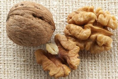 Употребление грецких орехов в юности помогает сохранить здоровье мозга в пожилом возрасте