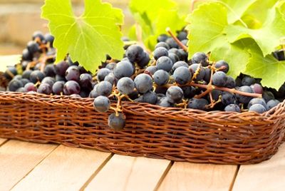 Китай стал лидером по производству и употреблению винограда