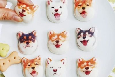 В Японии выпустили зефир в виде мордочек собак сиба-ину