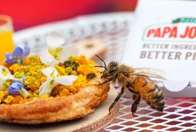 Американская пиццерия приготовила крошечную пиццу для пчел