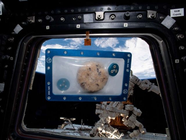 Приготовленное в космосе печенье прибыло на Землю