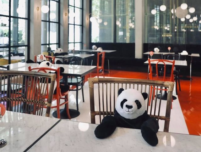 Игрушечные панды в тайском ресторане напомнят людям о социальной дистанции 