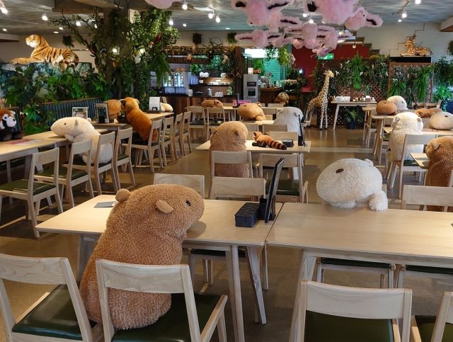 Кафе при японском зоопарке использует игрушечных животных для обеспечения социальной дистанции
