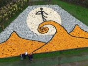 Фермеры создали огромную мозаику из 10 000 тыкв