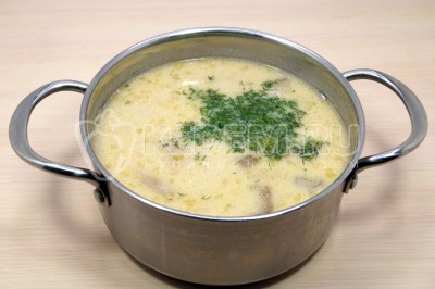 Добавить в грибной суп мелко нашинкованную зелень укропа. Накрыть крышкой и дать настояться 10-15 минут.