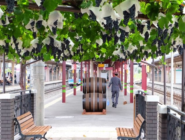Японский железнодорожный вокзал выпустит свое первое вино