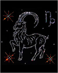 Худеем по гороскопу в 2010 году