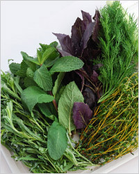 Витамин B1. Тиамин содержится в зелёных овощах и травах