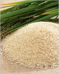 Рис: сарацинское зерно