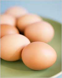 Яйца Питание для мозга: пища для ума