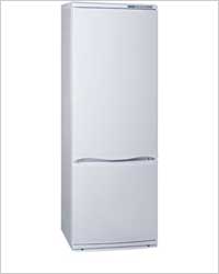 Двухкамерные холодильники с морозилкой внизу: шесть достойных моделей