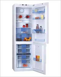 Двухкамерные холодильники с морозилкой внизу: шесть достойных моделей. Hansa FK350HSW.