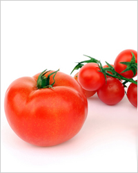 Мини-овощи: «беби-бум» помидор маленькие помидоры