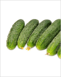 20100720 cucumbers 2
