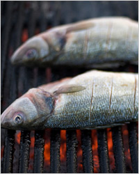 Как правильно замариновать рыбу для шашлыка