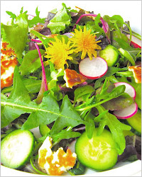 Салат из листьев одуванчика с капустой и редисом