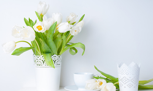 Белые тюльпаны на столе