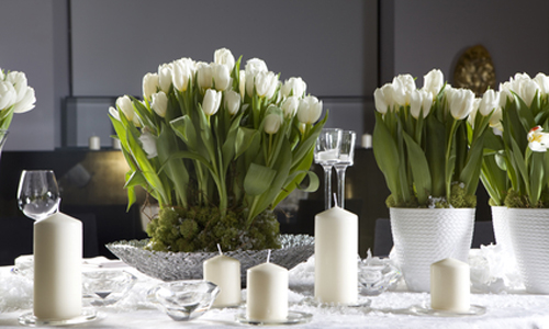 Белые тюльпаны на праздничном столе