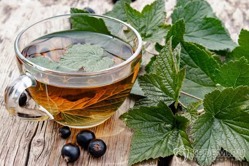 чай из листьев смородины