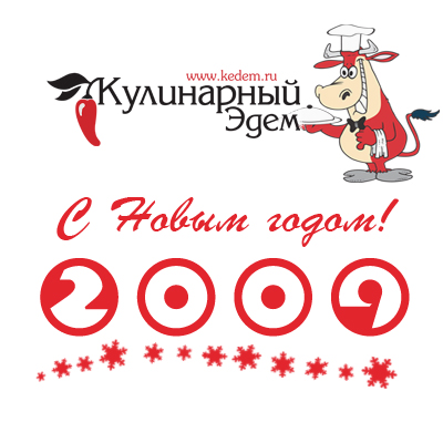 С Новым 2009 Годом!