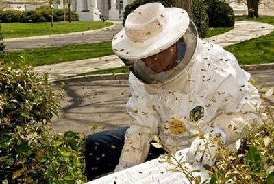 Белый Дом производит мёд
