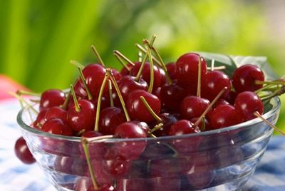 Вишня – натуральное болеутоляющее