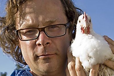 Британский шеф-повар считает, что мясо щенков не отличается от свинины