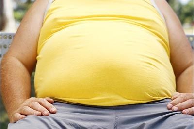 Причина ожирения – калории, но не белки